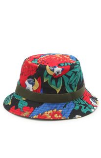 Mens Cuipo Hats   Cuipo Macaw Bucket Hat