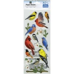 Paper House 3 d Sticker  Backyard Birds