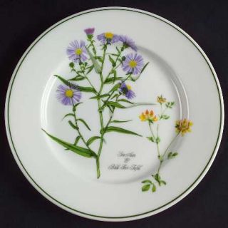 Portmeirion Welsh Wild Flowers Bread & Butter Plate, Fine China Dinnerware   Dif