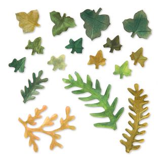 Sizzix Thinlits Leaves/ Fern Die Set By Susan Tierney cockburn (12 Pack)