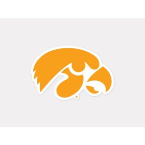 Iowa Hawkeyes Wincraft 4x4 Die Cut Decal Color