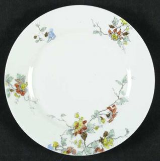 Haviland H1552 Salad Plate, Fine China Dinnerware   H&Co,Rust&Blue Flowers,1 Lg