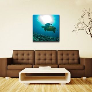 Chris Doherty Maui Turtle Blue Oversized Canvas Art (Over sizeSubject PhotographyImage dimensions 30 inches high x 30 inches wideOuter dimensions 30 inches high x 30 inches wide x 1.5 inches deep )