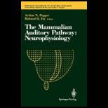 Mammalian Auditory Pathway