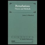 Perturbations Theory and Methods