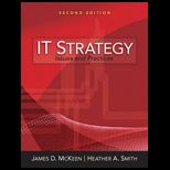 IT Strategy Issues and Practices
