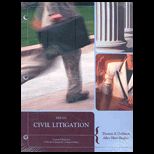 Civil Litigation (Custom)