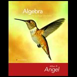 Algebra for College Students  With CD