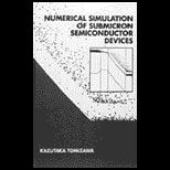 Numerical Simulation of Submicron