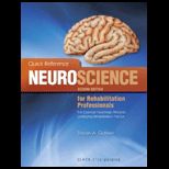 Quick Reference Neuroscience for Rehabilitation Professionals  The Essential Neurological Principles Underlying Rehabilitation Professionals