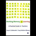 Working Memory and Learning A Practical Guide for Teachers
