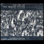 Art of Immune System  CD (Software)