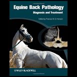 Equine Back Pathology Diagnosis and Treatment
