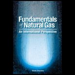Fundamentals of Natural Gas International Perspective