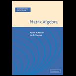 Matrix Algebra  Econometric Exercise 1
