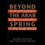 Beyond the Arab Spring