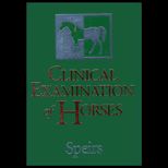 Clinical Examination of Horses