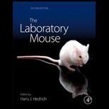 Laboratory Mouse