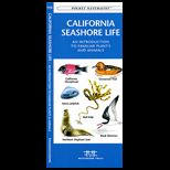 California Seashore Life  Pocket Naturalist