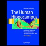 Human Hippocampus Functional Anatomy, Vascularization and Serial Sections with MRI