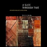 Slice Through Time