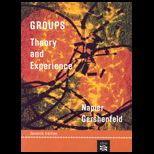 Groups  Theory and Experience