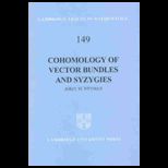 Cohomology of Vector Bundles and Syzygies