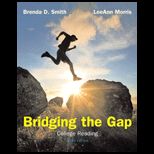 Bridging the Gap   With Novins  Longman