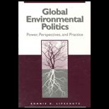 Global Environmental Politics  Power, Perspectives, and Practice