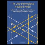 One Dimensional Hubbard Model