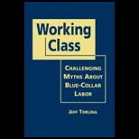Working Class Challenging Myths about Blue Collar Labor