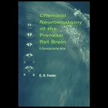 Chemical Neuroanatomy of the Prenatal Rat Brain