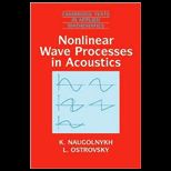 Nonlinear Wave Processes in Acoustics