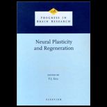 Neural Plasticity and Regeneration