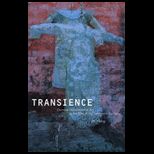 Transience  Chinese Experimental Art at the End of the Twentieth Century