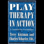 Play Therapy in Action  A Casebook for Practitioners