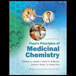 Foyes Principles of Medicinal Chemistry With Access