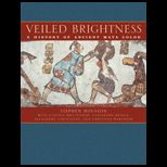 Veiled Brightness A History of Ancient Maya Color