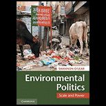 Environmental Politics Scale and Power