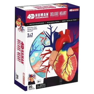 John N. Hansen Human Heart Anatomy Model Lifesize