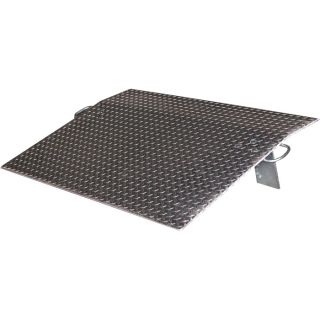 Vestil Economizer Dockplate   Aluminum, 5200 lb. Capacity, 24 Inch L x 30 Inch