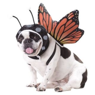Butterfly Pet Costume   X Small