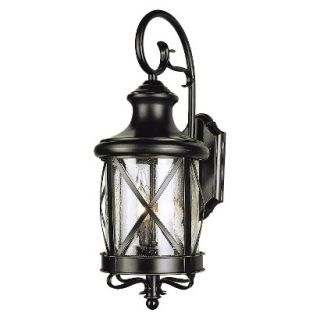 Tennessee 19 Outdoor Wall Light in Bronze