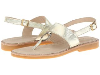 Elephantito Carmel Thong Sandal Girls Shoes (Gold)