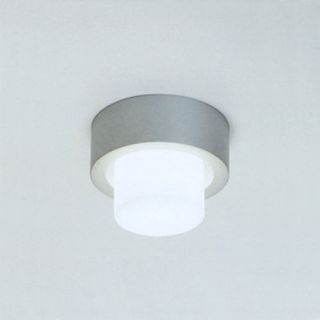 Mini Rondo Wall or Ceiling Light