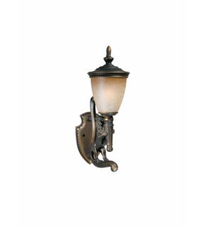 Lion 1 Light Outdoor Wall Lights in Oil Rubbed Bronze 75530 14 R