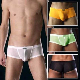 Sexy Mesh Man Shorts Mens Underwear Briefs