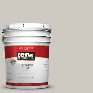 BEHR Premium Plus Home Decorators Collection 5 gal. #HDC WR14 2 Winter Haze Flat Interior Paint 105005