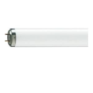 Philips 4 ft. T12 60 Watt Flexo Print Germicidal (G13) Linear Fluorescent Light Bulb (25 Pack) 421560
