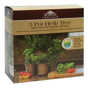 Burpee Herb Tree (5 pot) 96238